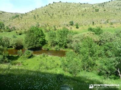 Carcavas de Alpedrete de la Sierra y Meandros del Lozoya;excursiones y senderismo;solana de avila